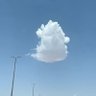 عاشق الوطن ( امن وامان)'s profile picture