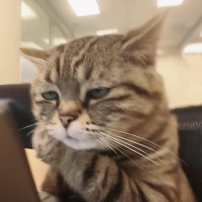 GiggsGaJoong シ's profile picture
