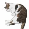 Profilbild von シルス