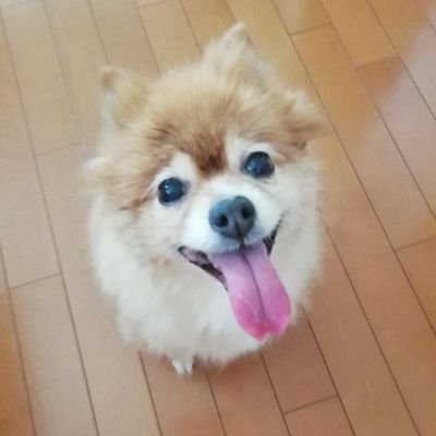 大野人's profile picture