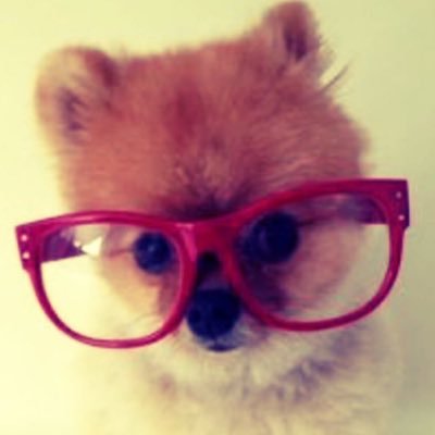 tuffahhdog's profile picture
