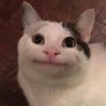 Juanito Totopo's profile picture