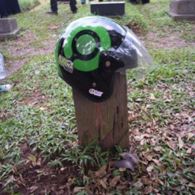 Mado's profile picture