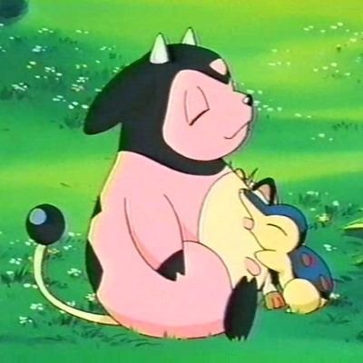 Gustavo Komatsu's profile picture