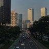 Randi 的头像
