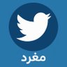 مغرد فقط's profile picture