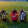 Anoni profil fotoğrafı