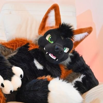 Dedran/Orbit 🔜 PW's profile picture