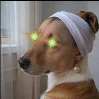 debbiepieterse's profile picture