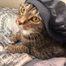 BuuDoll's profile picture