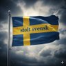 Фото профиля 🇸🇪 Patriotisk Nörd🇸🇪