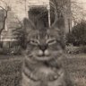 Profilbild von Kedariodakon