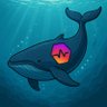 Crypto Whale Watcher 的头像
