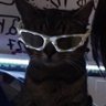 sol's profile picture