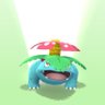 Squid's profile picture