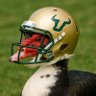 Profilbild von USF Muscovy
