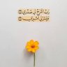 Aya El Saeed's profile picture