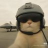 Profilbild von 猫叔