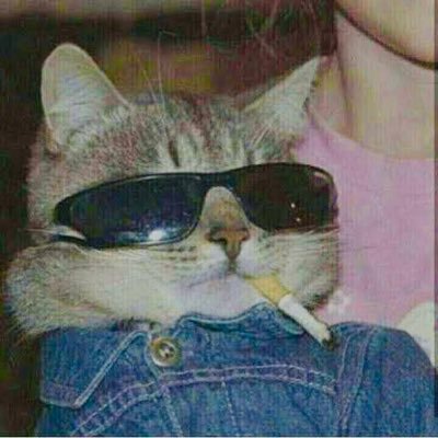 bebeebhi's profile picture