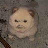 Profilbild von u to