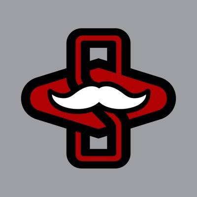 The Scarlet Standard's profile picture