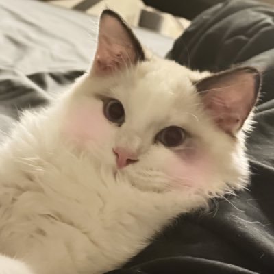 yy(想更就更版)'s profile picture