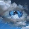 Observer profil fotoğrafı