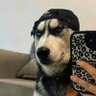 storage's profile picture