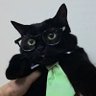 Фото профиля zccccccccv