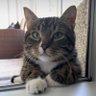 paw's profile picture