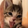 Profilbild von Lorena