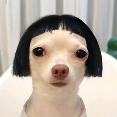 BamBamFandom's profile picture