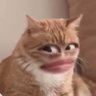 น้ำตาลจี๊ด🍬's profile picture