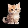 หว่านเจ่ยลี่'s profile picture