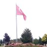Mehmet's profile picture