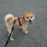 たのた's profile picture