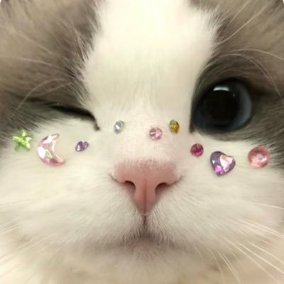 𝓜's profile picture