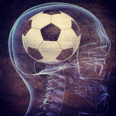 Kutay's profile picture