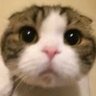 Profilbild von あ
