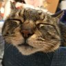 Profilbild von まおまお