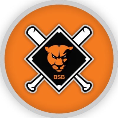 Baseball_GU's profile picture