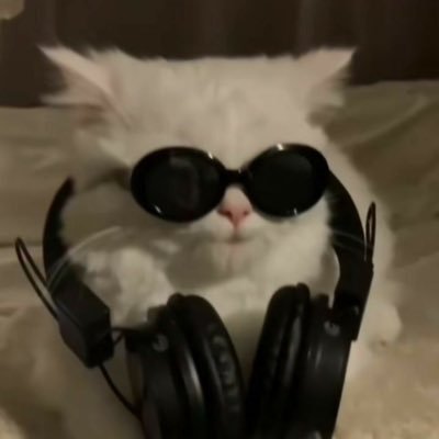 ᓚᘏᗢ's profile picture