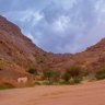 Фото профиля ابو سعود القحطاني