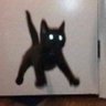 Фото профиля ねここ
