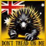 🇦🇺🫡MattyD 🫡🇦🇺 profil fotoğrafı