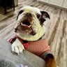 Caren Houle profil fotoğrafı