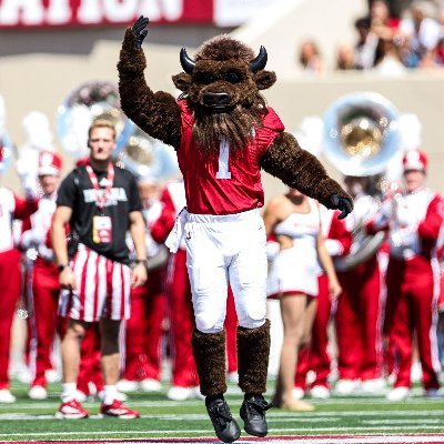 Hoosier the Bison's profile picture