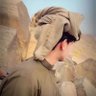 محمد بني ظنه's profile picture