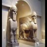 Sumerian's profile picture