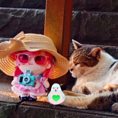 Hisui_crew's profile picture
